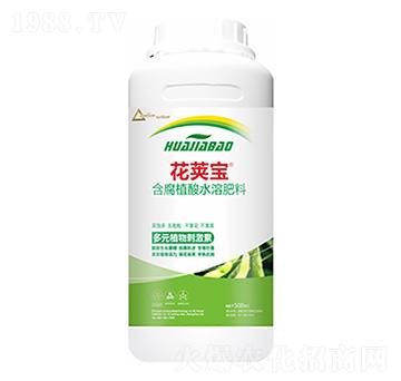 �󶹻�Ӣ��-�����Ƽ�