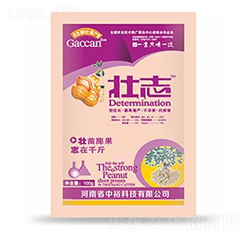 ��־-�����Ƽ�