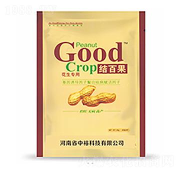 �Y(ji��)�ٹ�-�����Ƽ�