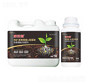 ���ŵ�-��ԣ�Ƽ�