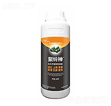 �����-�����Ƽ�