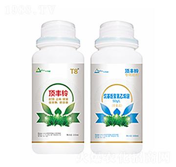 ��S�-�����Ƽ�