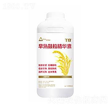 ����������A��-������