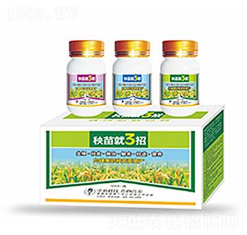 �����3��-�����Ƽ�