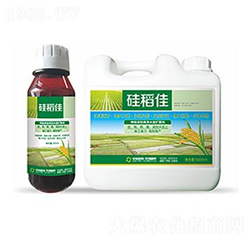 �赾��-�����Ƽ�