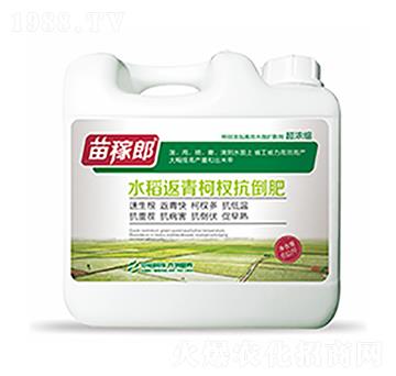 ˮ�������辿�����-��