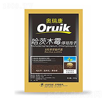 �W��-�����Ƽ�