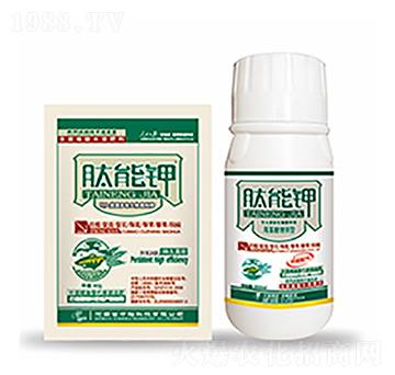 �����-�����Ƽ�