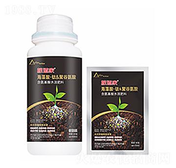 ������-�����Ƽ�