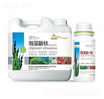 �������-�����Ƽ�