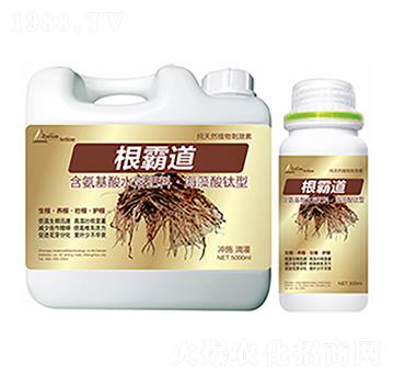 ���Ե�-�����Ƽ�