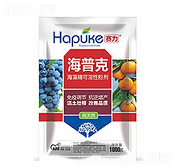 ِ�����տ�-�����Ƽ�