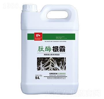 ��ø����-��»��r(n��ng)