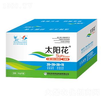 �����ʹ���Ԫ��ˮ�ܷ���20+20+20+TE-̫ꖻ�-�����r�I(y��)