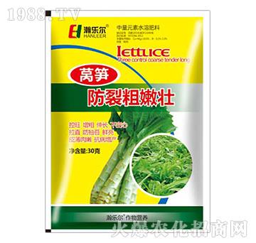 �n�S���Ѵ��ۉ�-嫘���