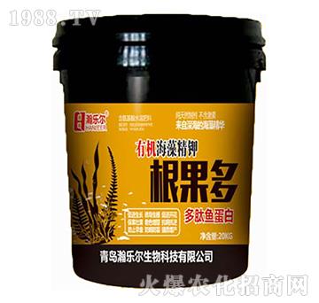 �ЙC���徫�-������-