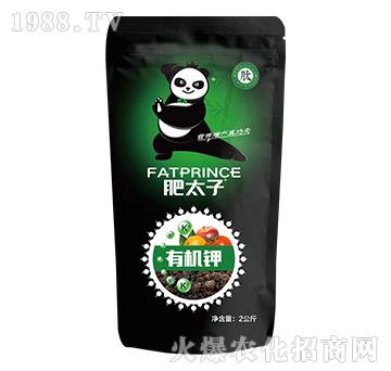 2kg�ЙC�-��̫��