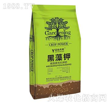 �������ЙC⛷�-�����-���_��