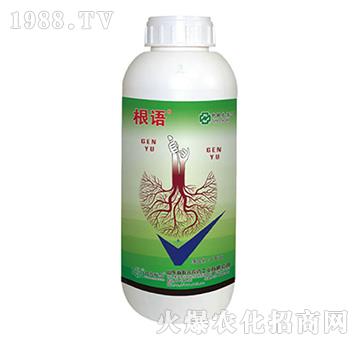 5%�����-���Z(y��)-���r(n��ng)