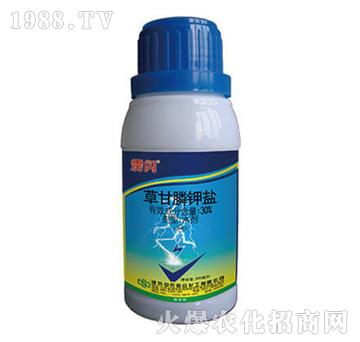 37%�ݸ����}-�Z�W