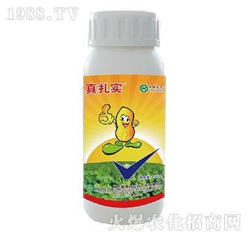 48%���x(ch��ng)�����p��-��