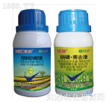 40��ÿ�����׻�¡+5