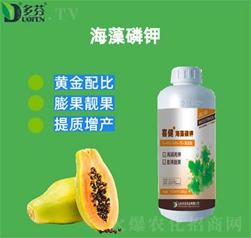 �������-ϲ��-����r�I(y��)