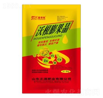 �ָ������-ϲ�r(n��ng)��-��