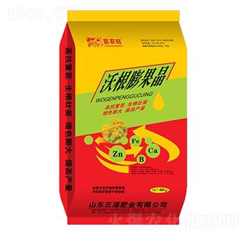 40kg�ָ������-ϲ