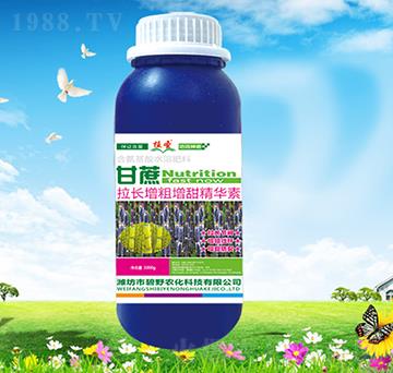 �������L���������A��