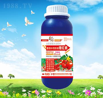 �����a(b��)�}�������t��-��