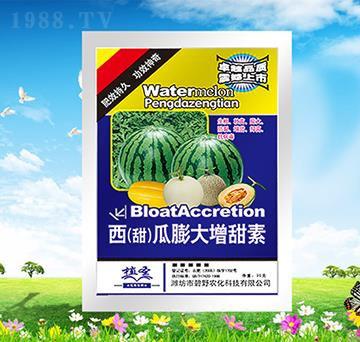 ��������������-ֲʥ