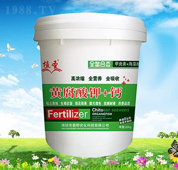 �S�����+�}-ֲʥ-��