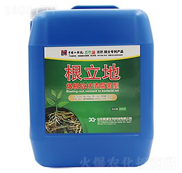 ���������帯����-����