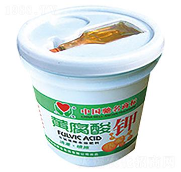 �S�����-�Č����F