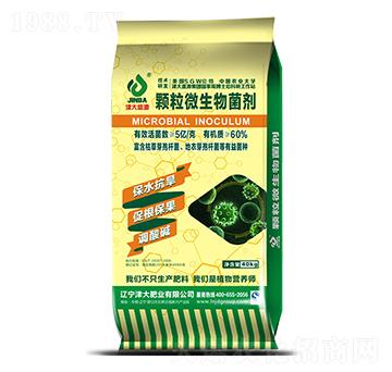 �w��΢�������-���ʢ