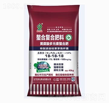 �S�����Ԫ�����Ϸ�18