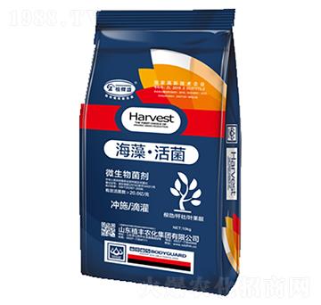 ���塤���΢�������-