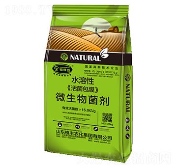 ˮ���Ի����Ĥ΢�����