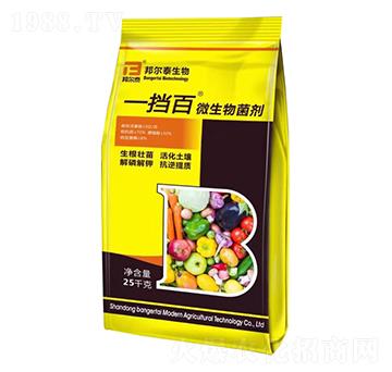 ΢�������-һ����-��