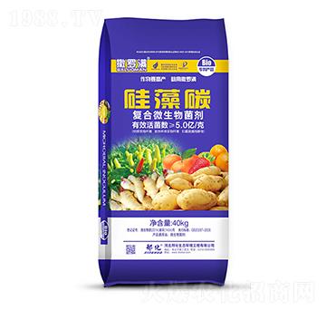 �ͺ�΢������� ����̼ ���_�M �ϻ�