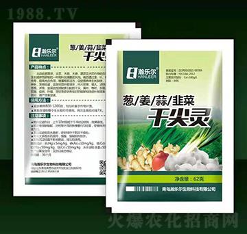 �[����²˸ɼ��`-嫘�