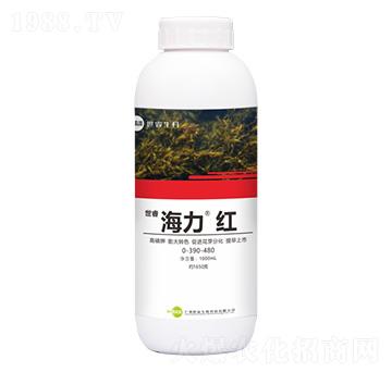 �~���-�������t-���