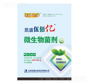 ΢�������-��ۃ|-�P