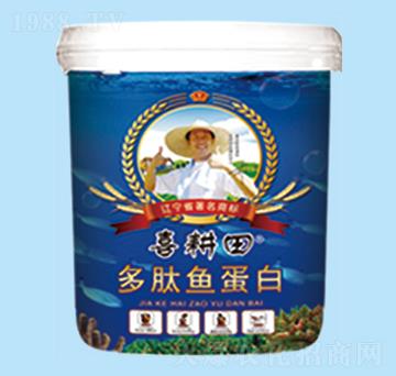 �����~(y��)����-ϲ����