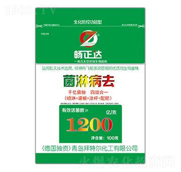 ���ܲ�ȥ-���ؠ�