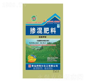 ������͓������19-