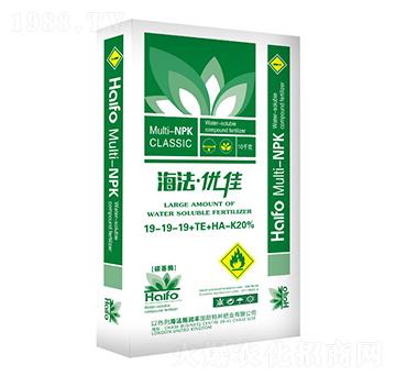 ������(y��u)��19-19-19+TE+HA-�՝�(r��n)�S