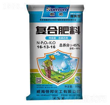 �ͺϷ���16-13-1