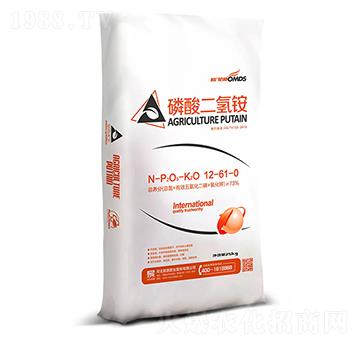 ��������@12-61-